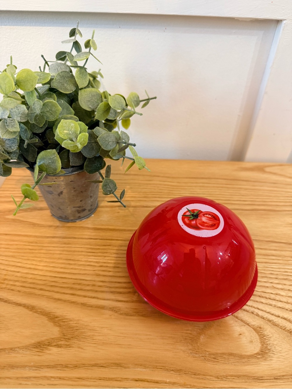 🌿10/$25 • Plastic Tomato Holder